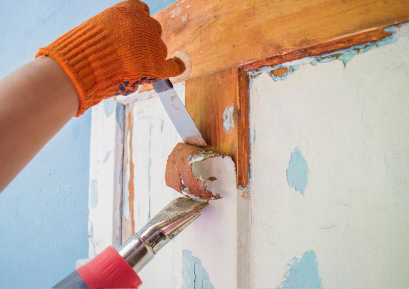 Cabinet Paint Removal