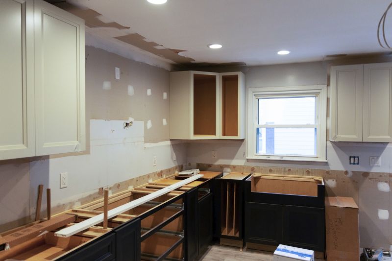Cabinet Paint Removal